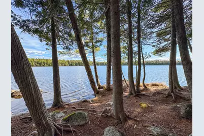 Lot 6 Bill Green Pond Road, T3 R1 Nbpp, ME 04455 - Photo 8