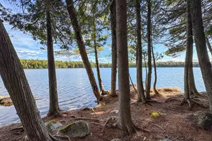Lot 6 Bill Green Pond Rd, T3 R1 Nbpp, ME 04455 - Photo 8