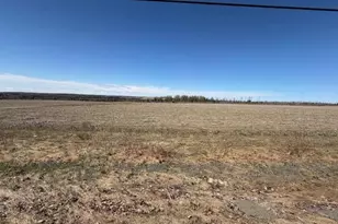 871 Madawaska Rd, Caribou, ME 04736 - Photo 8