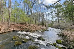 49 Harts Way, Gorham, ME 04038 - Photo 60