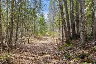 1008 W Bay Rd, Gouldsboro, ME 04607 - Photo 12