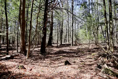218 Plummer Road, Richmond, ME 04357 - Photo 24