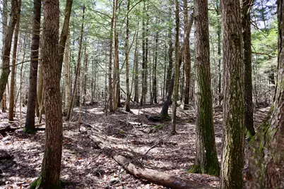 218 Plummer Road, Richmond, ME 04357 - Photo 22
