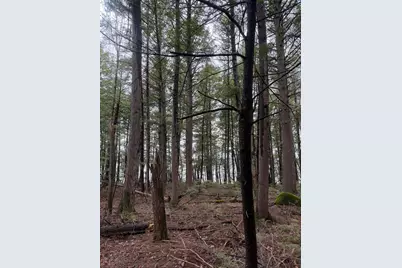 L47-2 Salmon Circle, Hartland, ME 04943 - Photo 8