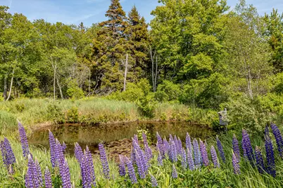 161 North Road, Matinicus Isle, ME 04851 - Photo 6