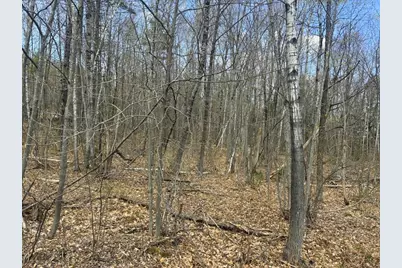 Lot 2-7 Prospect Street, Wilton, ME 04294 - Photo 1