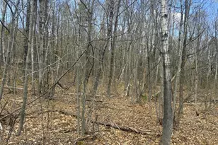 Lot 2-7 Prospect St, Wilton, ME 04294 - Photo 1