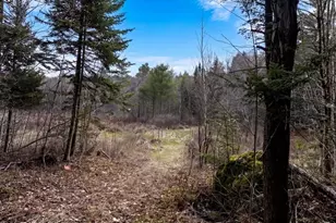 28 Trinity Way, Monmouth, ME 04259 - Photo 1