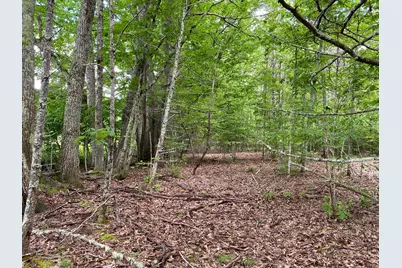 34-Acres Deering Drive, Gorham, ME 04038 - Photo 2
