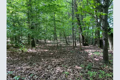 34-Acres Deering Drive, Gorham, ME 04038 - Photo 4