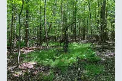 34-Acres Deering Drive, Gorham, ME 04038 - Photo 10