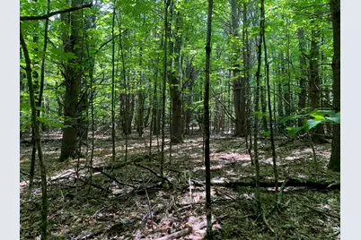 34-Acres Deering Drive, Gorham, ME 04038 - Photo 6