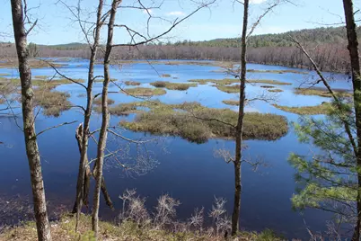 Lot18-2 Riverbend Road, Brownfield, ME 04010 - Photo 6