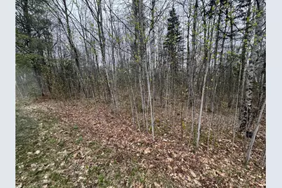 Lot 23 N Dixmont Road, Troy, ME 04987 - Photo 4