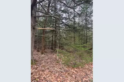 0 Old North Road, West Gardiner, ME 04345 - Photo 2