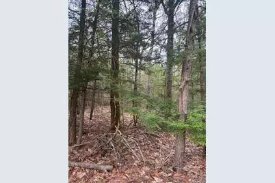 0 Old North Road, West Gardiner, ME 04345 - Photo 4