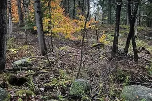 662 Temple Rd, Farmington, ME 04938 - Photo 48