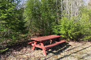 31 Burnham Rd, Burlington, ME 04417 - Photo 22