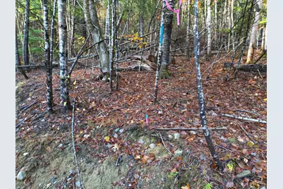 22 Sugarbush Lane, Lee, ME 04455 - Photo 6