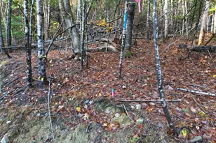 22 Sugarbush Ln, Lee, ME 04455 - Photo 6