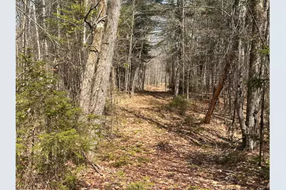 Lot 2 Filaroska Road, New Sharon, ME 04955 - Photo 10
