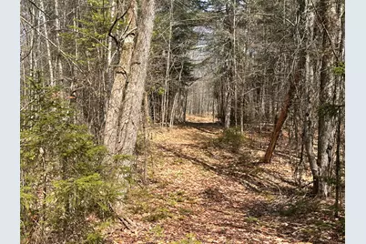 Lot 2 Filaroska Road, New Sharon, ME 04955 - Photo 14