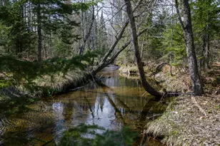 461 4 Mile Square Rd, Anson, ME 04911 - Photo 38