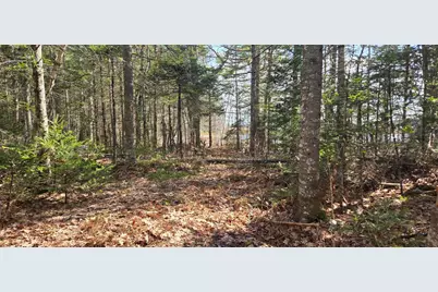 M97Lot 3-3 Peninsula Drive, Ellsworth, ME 04605 - Photo 6