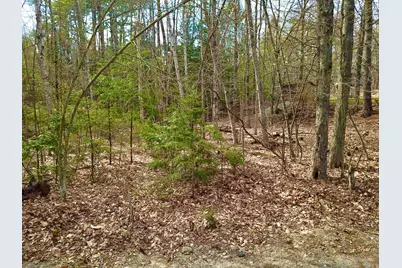 6 Chickadee Lane, Sebago, ME 04029 - Photo 2