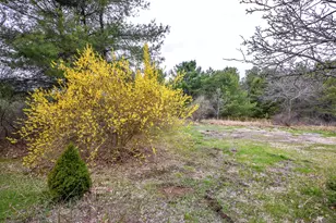 31 Vernon Rd, Cape Elizabeth, ME 04107 - Photo 20