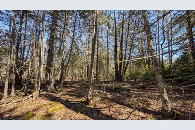 201 Milbridge Road, Cherryfield, ME 04622 - Photo 40