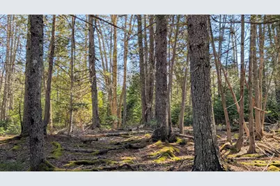 201 Milbridge Road, Cherryfield, ME 04622 - Photo 42