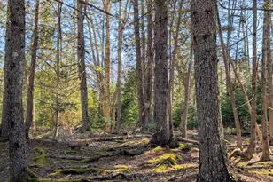 201 Milbridge Rd, Cherryfield, ME 04622 - Photo 42