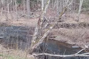 725 Water St, Newfield, ME 04095 - Photo 18