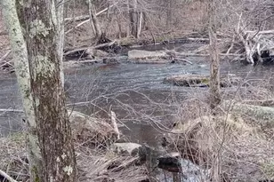 725 Water St, Newfield, ME 04095 - Photo 20