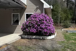 18 Deer Rdg Ln, Surry, ME 04684 - Photo 52