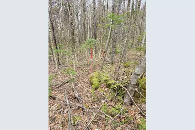Lot 18-5 Camp Road, Mount Chase, ME 04765 - Photo 12