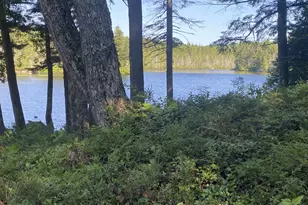 Lot 14 Rowe Pond Rd, Pleasant Ridge Plantation, ME 04920 - Photo 46