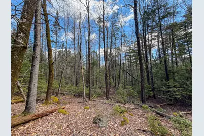 M92L2-1 Route 1A, Ellsworth, ME 04605 - Photo 28
