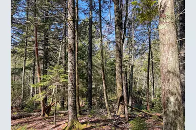 M92L2-1 Route 1A, Ellsworth, ME 04605 - Photo 18