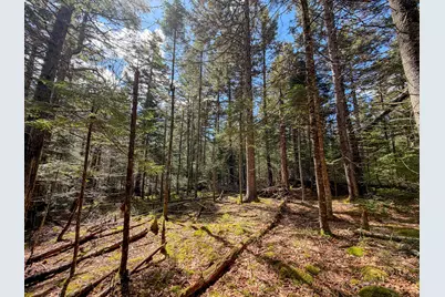 M92L2-1 Route 1A, Ellsworth, ME 04605 - Photo 26
