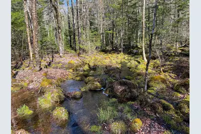 M92L2-1 Route 1A, Ellsworth, ME 04605 - Photo 20