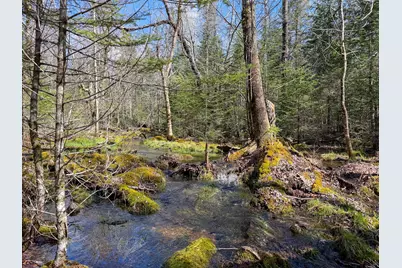M92L2-1 Route 1A, Ellsworth, ME 04605 - Photo 24