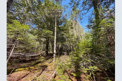 M92L2-1 Route 1A, Ellsworth, ME 04605 - Photo 16