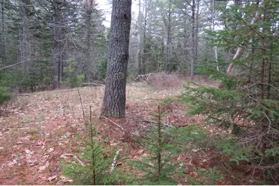 23 Porcupine Road, Sullivan, ME 04664 - Photo 14