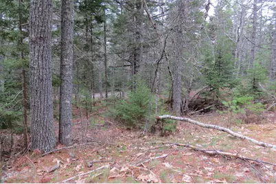 23 Porcupine Road, Sullivan, ME 04664 - Photo 8