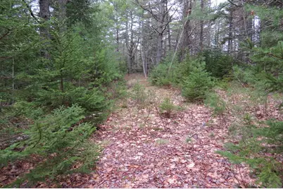 23 Porcupine Road, Sullivan, ME 04664 - Photo 4