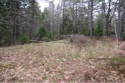 23 Porcupine Road, Sullivan, ME 04664 - Photo 6