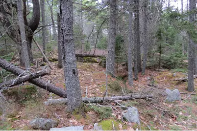 23 Porcupine Road, Sullivan, ME 04664 - Photo 26