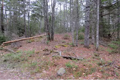 23 Porcupine Road, Sullivan, ME 04664 - Photo 22